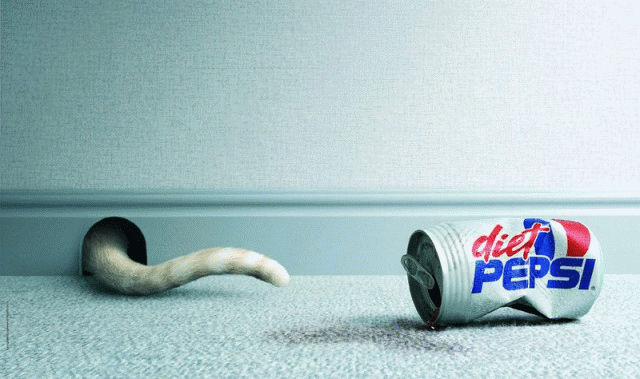 Diet Pepsi Shrank the Cat